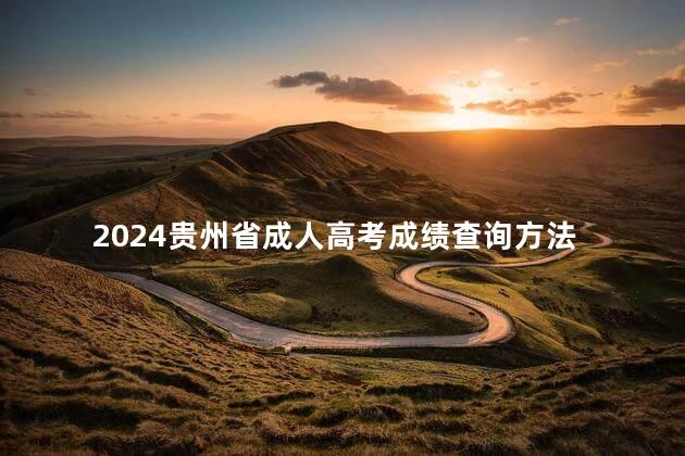 2024贵州省成人高考成绩查询方法