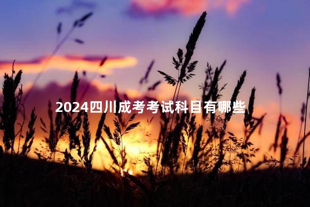 2024四川成考考试科目有哪些