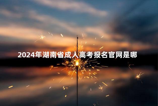 2024年湖南省成人高考报名官网是哪个