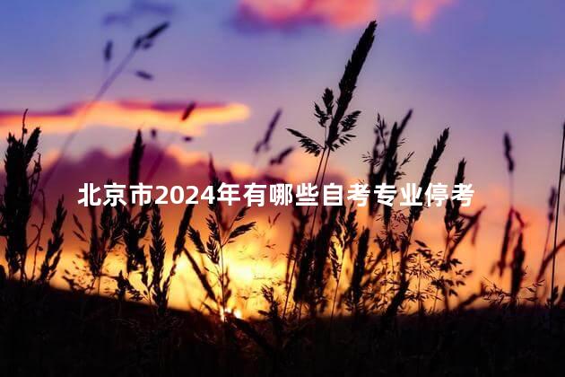 北京市2024年有哪些自考专业停考