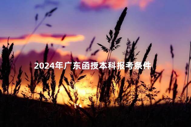 2024年广东函授本科报考条件