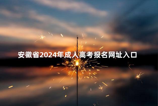 安徽省2024年成人高考报名网址入口