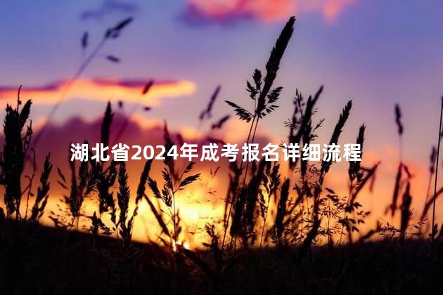 湖北省2024年成考报名详细流程