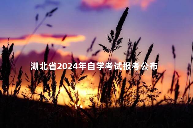 湖北省2024年自学考试报考公布